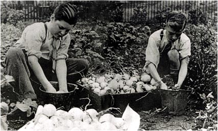 Winton Senior in the War effort